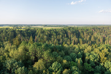 sunny early morning from above