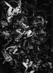 Rough abstract background. Crumpled texture. Black white shredded paper composition.