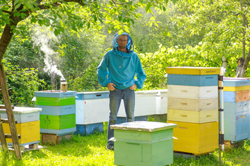 A beekeeper in a protective suit of green color stands in his apiary with single-body beehives and multi-body beehives. Apiary on the plot. Private business in agribusiness.