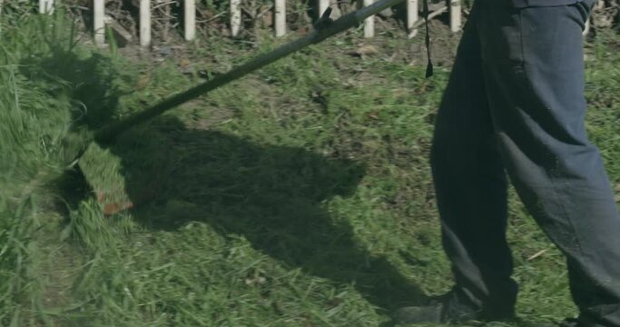 Gras Cutting:An overgrown garden of grass gets flattened by a weedeater wielding man
