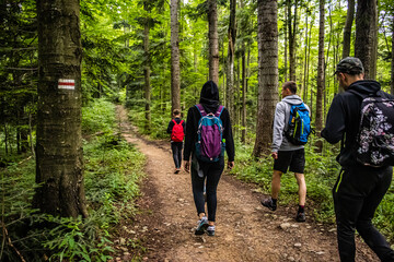 Hiking group of people in a forest