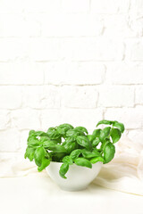Fresh basil in a bowl. Kitchen garden on a white table, brick wall. Copy space for text