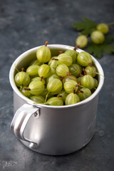 Gooseberries in an aluminum mug on a gray background