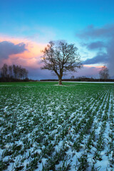 pink clouds in the sunset