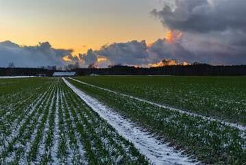 sunset over a snowy green field and a barn