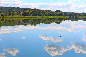 Obraz na płótnie Canvas panoramic view of a summer lake with a lonely duck