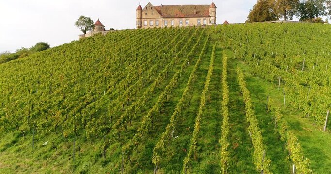 Aerial copter flight over beautiful blooming vineyards surrounding historic Stettenfels Castle at the panorama of the sunny town Weinsberg in Heilbronn district, Germany.