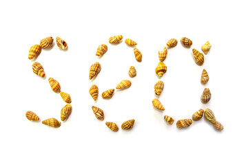 The inscription sea from seashells on a white background