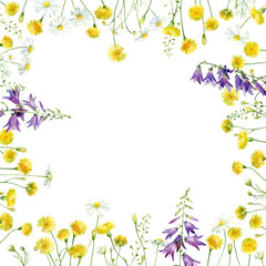 Watercolor frame of yellow wild flowers, bells and daisies on a white background 