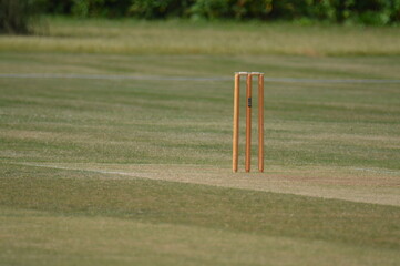 Cricket pitch with stumps