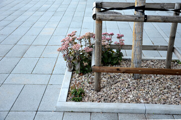 perennial beds mulched with dark stone gravel with a predominance of ornamental grasses