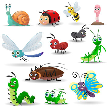 Cartoon collection of cute insects