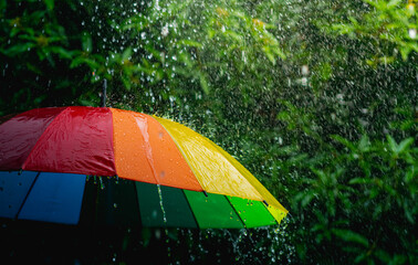 Rain drops falling on rainbow umbrella in the day with nature background