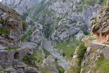 Camino y montañas ruta del cares.