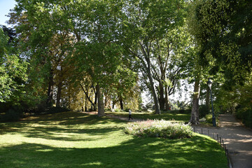 Obraz premium Grands arbres du parc Montsouris à Paris en été, France