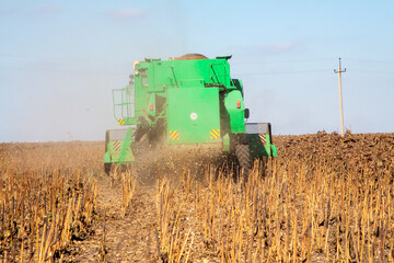Obraz premium Crop in the field on a sunny day. Autumn harvest.