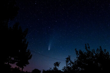 Comet Neowise C/2020 F3 and stars in the night sky. Astrophotography - view of a bright meteor....