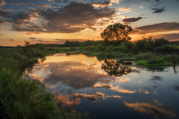 Sunset over the Liwiec river near Siedlce, Masovia, Poland - obrazy, fototapety, plakaty