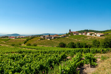 Fototapeta na wymiar Le village de Saint-Joseph-en-Beaujolais dans le vignoble du Beaujolais dans le département du Rhône en France