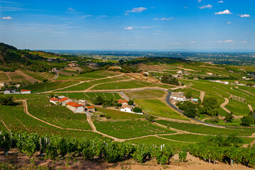 Paysage du vignoble du Beaujolais autour du village de Fleurie dans le département du Rhône en...