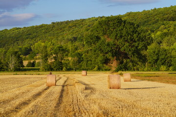 Paysage campagne 738
