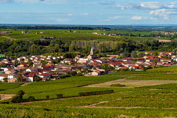 Obraz premium Le village de Cercié dans le vignoble du Beaujolais dans le département du Rhône en France
