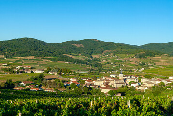 Fototapeta na wymiar Le village de Lantignié dans le vignoble du Beaujolais dans le département du Rhône en France