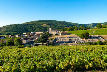 Le village de Quincié-en-Beaujolais dans le vignoble du Beaujolais dans le département du Rhône...
