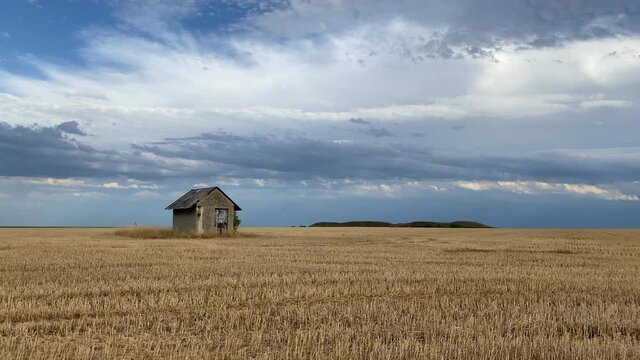 Old barn on the empty field after harvesting in sunny day. 