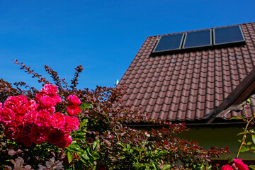 solar panels on the roof of modern house and pink roses
