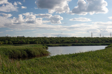Fototapeta premium a pond with reeds, against the backdrop of a cloudy sky. Industrial area of the outskirts
