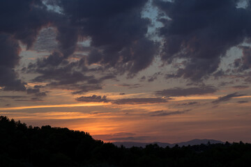 Paisaje de un bosque atardeciendo