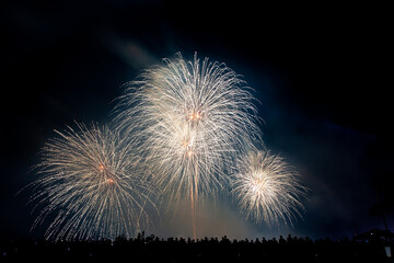 Crowd looks holiday fireworks in dark evening sky.