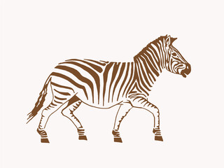 Fototapeta na wymiar Vintage illustration of zebra, sepia background