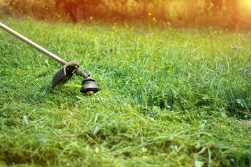 mower trimmer mows grass in summer.