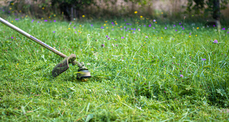 mower trimmer mows grass in summer.