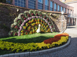 Kreisstadt Lahr im Schwarzwald - Chrysanthema