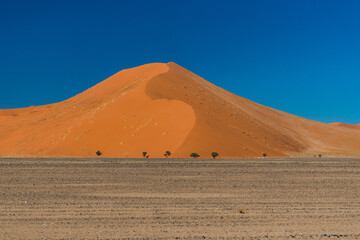 Fototapeta na wymiar Namib desert, Namibia