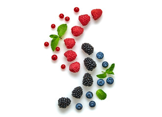 Blueberry, raspberry, blackberry, redcurrant isolated on white. Fresh blueberry, berries mix closeup. Red raspberry, mint creative composition. Colorful trendy concept, top view.