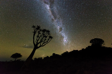 Milky Way and quiver tree, Namibia