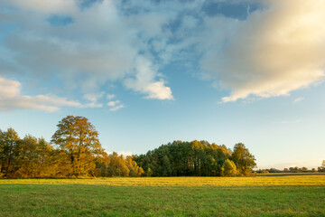 Autumn trees on the meadow and clouds on the blue sky