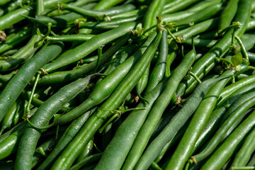 Large pods of dietary green beans (asparagus) close-up, lie close to each other in the sun.
