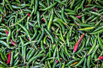 green and red hot chili pepper texture