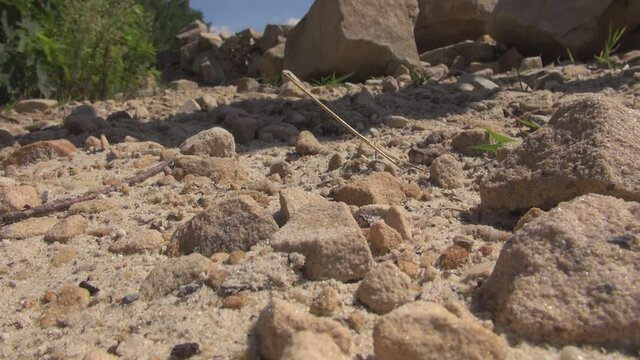 Schneller Sprung in sandigen Steinuntergrund mit beigen Schuhen. Barfu&szlig;schuhe springen und landen auf goldenem Sand. Sportliche Aktivit&auml;ten, Parcourslauf im Freien an der frischen Luft.