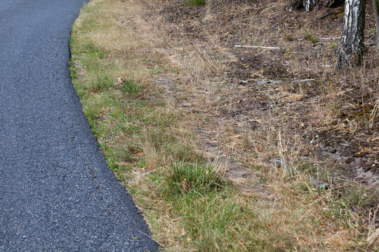 Pobocze Bilder Durchsuchen 917 Archivfotos, und Videos