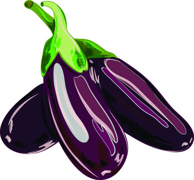 eggplant isolated on white