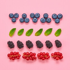 Blueberry, blackberry, redcurrant layout. Fresh blueberry, berries mix on pink. Red raspberry, berry, mint creative composition. Colorful minimal concept, top view.