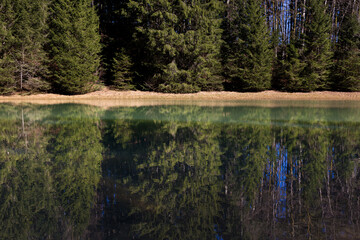 Lake in the forest, woods reflection in the water