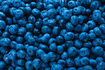 Fresh blueberry background.
