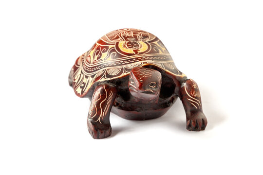 Turtle with the image of the Buddha on the shell, white background. Front view.